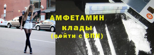 шишки Арсеньев
