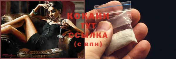 твердый Аркадак