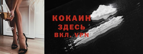 шишки Арсеньев