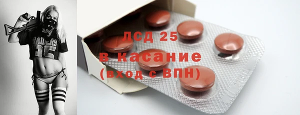 шишки Арсеньев