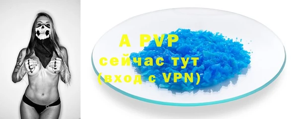 твердый Аркадак
