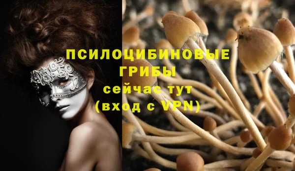 гашик Армянск