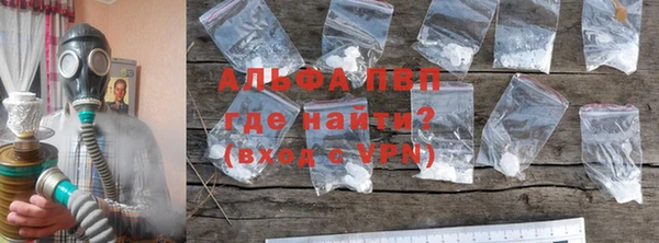 шишки Арсеньев