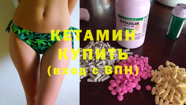 шишки Арсеньев