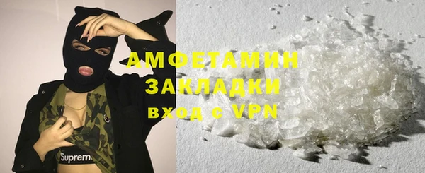 шишки Арсеньев