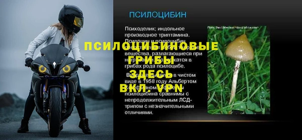 твердый Аркадак