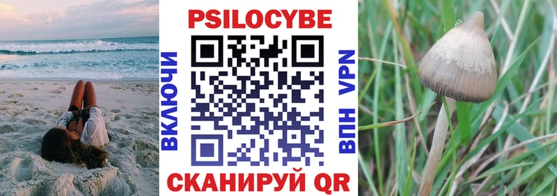Псилоцибиновые грибы Psilocybe  Купить где  Ардон 